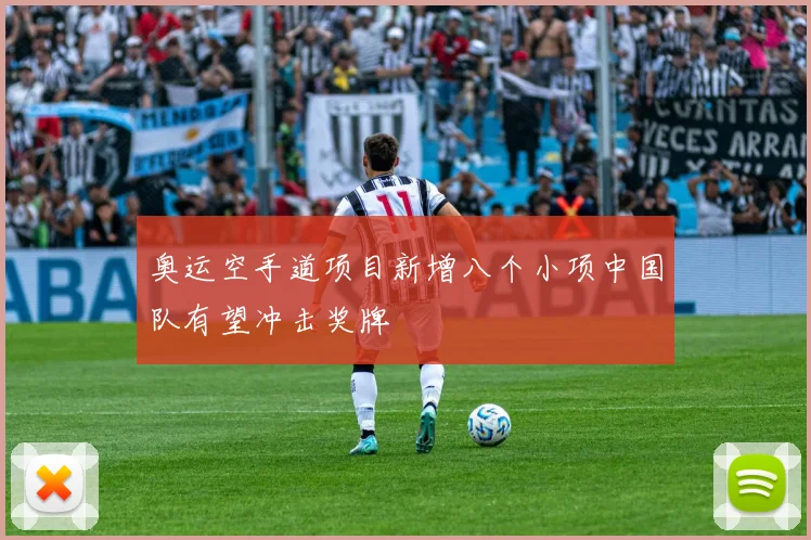 奥运空手道项目新增八个小项中国队有望冲击奖牌