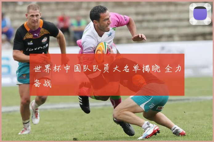 世界杯中国队队员大名单揭晓 全力备战