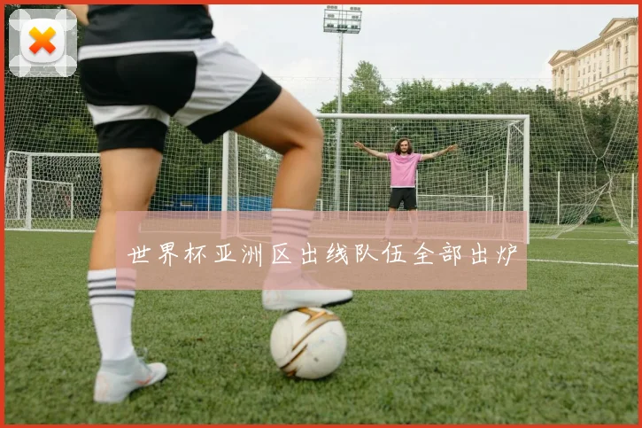 世界杯亚洲区出线队伍全部出炉