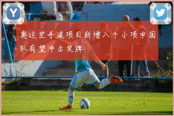 奥运空手道项目新增八个小项中国队有望冲击奖牌
