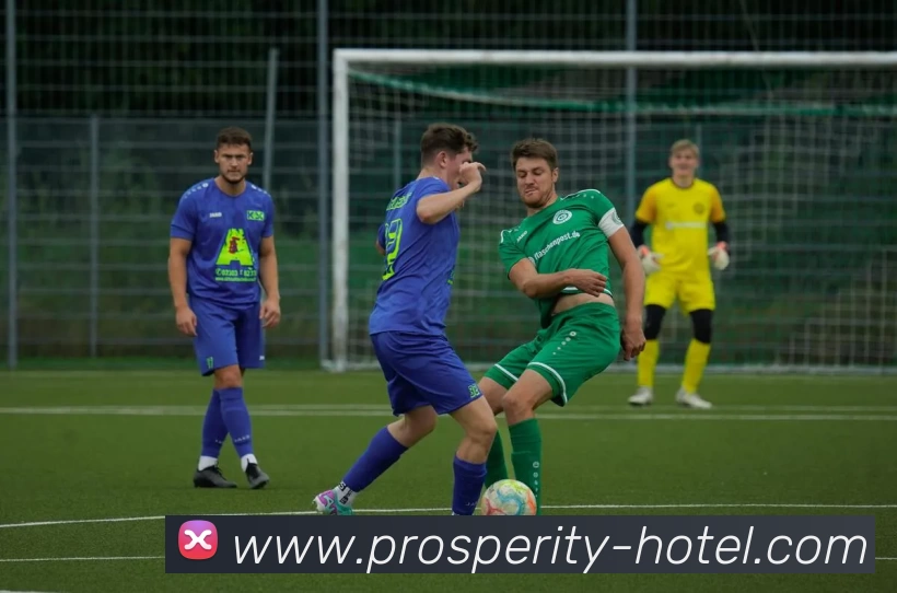 辅助工具 辅助工具